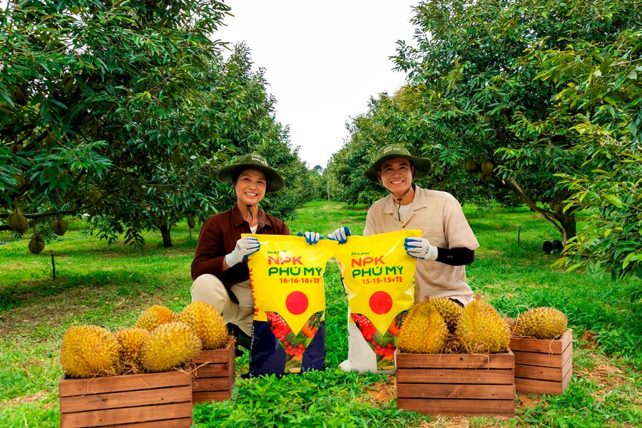 Phân bón NPK Phú Mỹ: Công nghệ sạch - Phân bón sạch