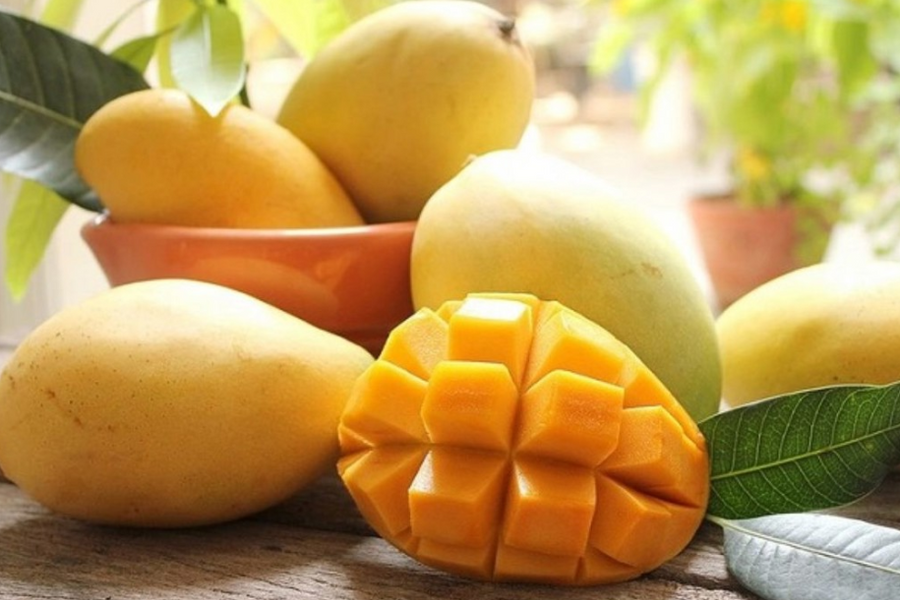 Những lợi ích mới của quả xoài có thể bạn chưa biết