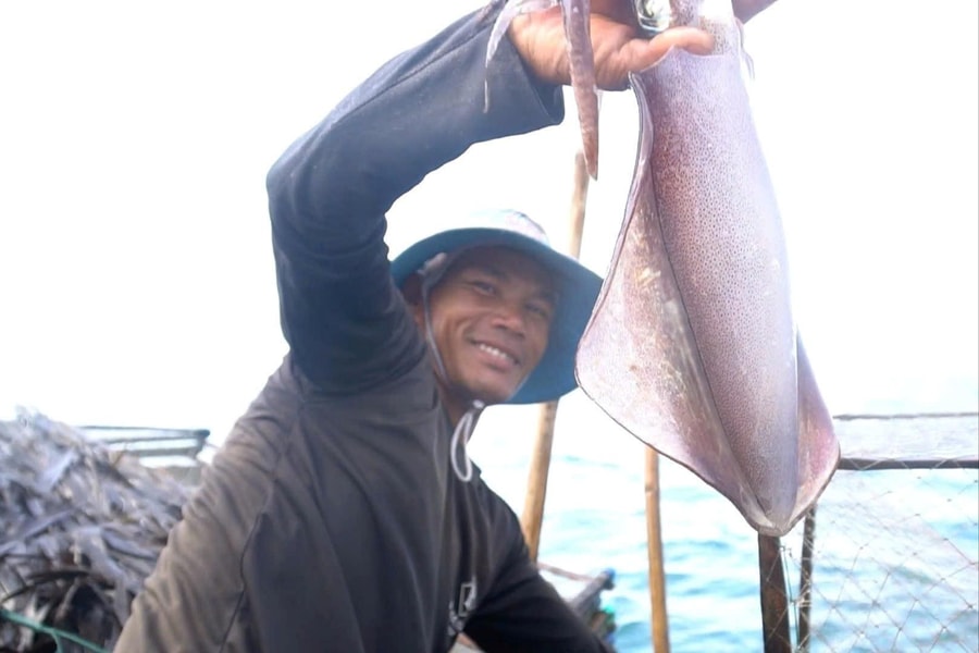 Mùa bắt mực lá ở biển bãi ngang Quảng Trị