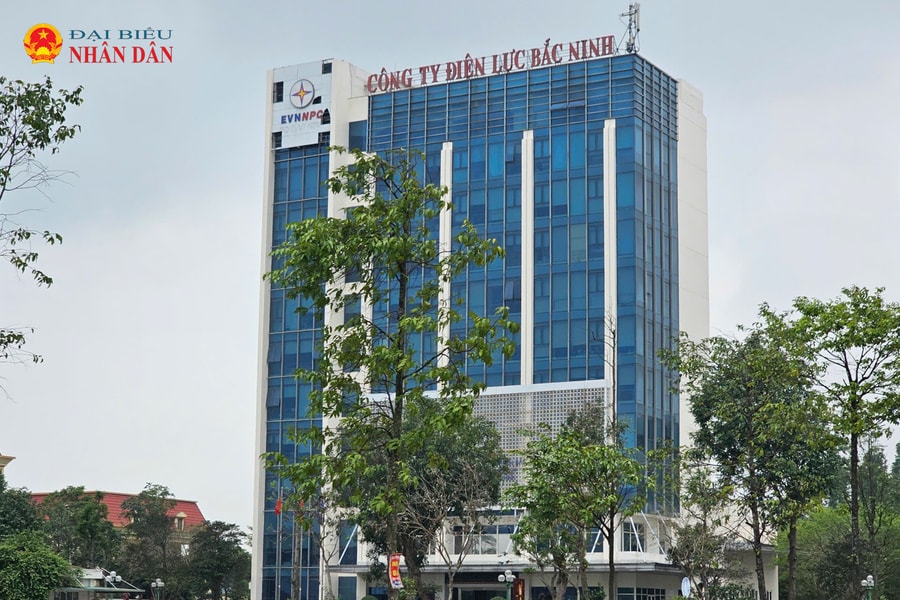 Cần minh bạch trong đấu giá tài sản vật tư thiết bị có chứa chất thải nguy hại của các Công ty điện lực