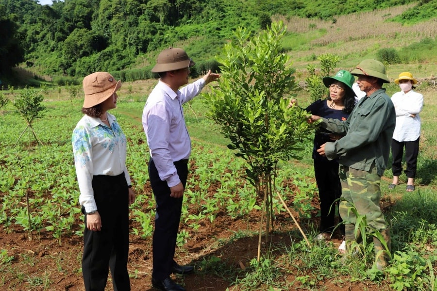 Phân cấp mạnh, giao quyền chủ động cho địa phương