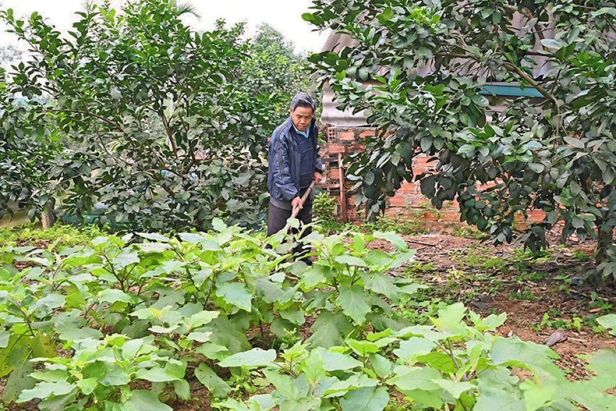 Bài cuối: Một hành trình thực chất