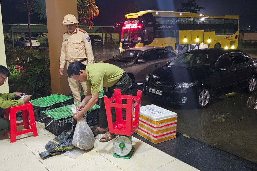 Phát hiện xe khách vận chuyển động vật hoang dã trái phép ở Hà Tĩnh