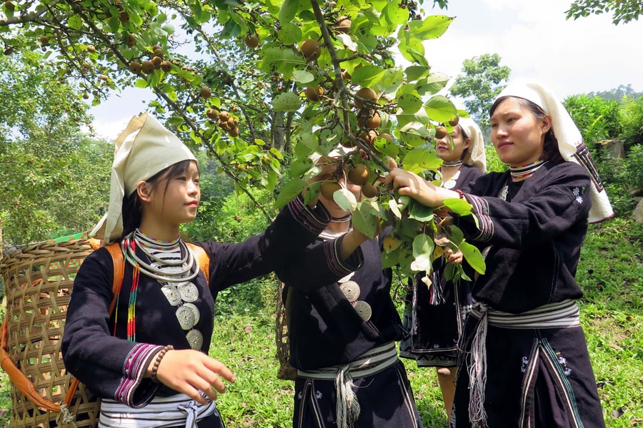 Sửa đổi tiêu chí phân bổ vốn Chương trình mục tiêu quốc gia phát triển kinh tế - xã hội vùng dân tộc thiểu số và miền núi