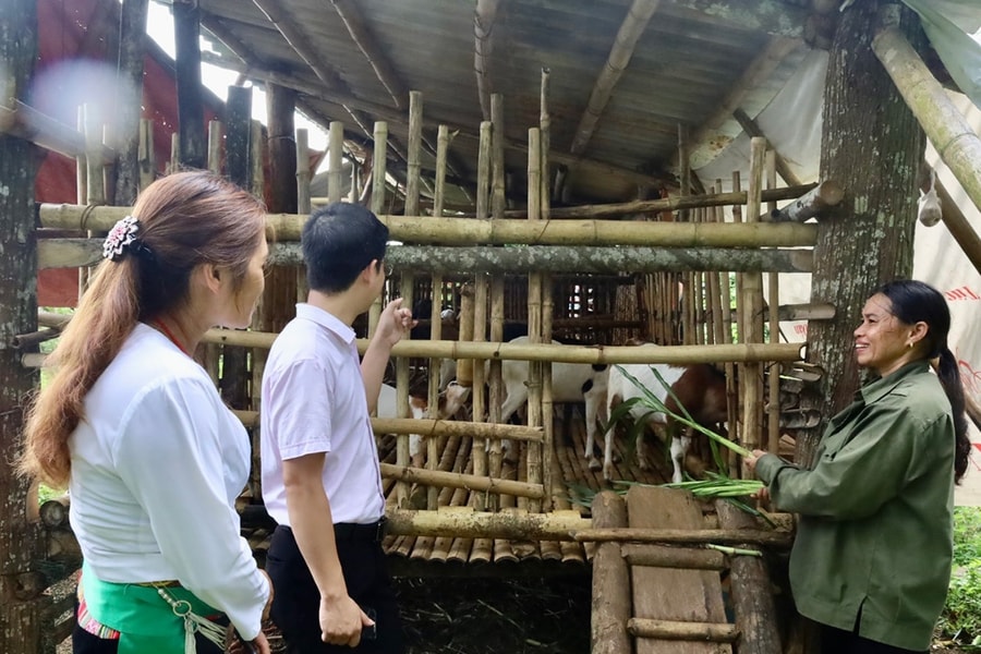 Phát huy nội lực vươn lên thoát nghèo bền vững