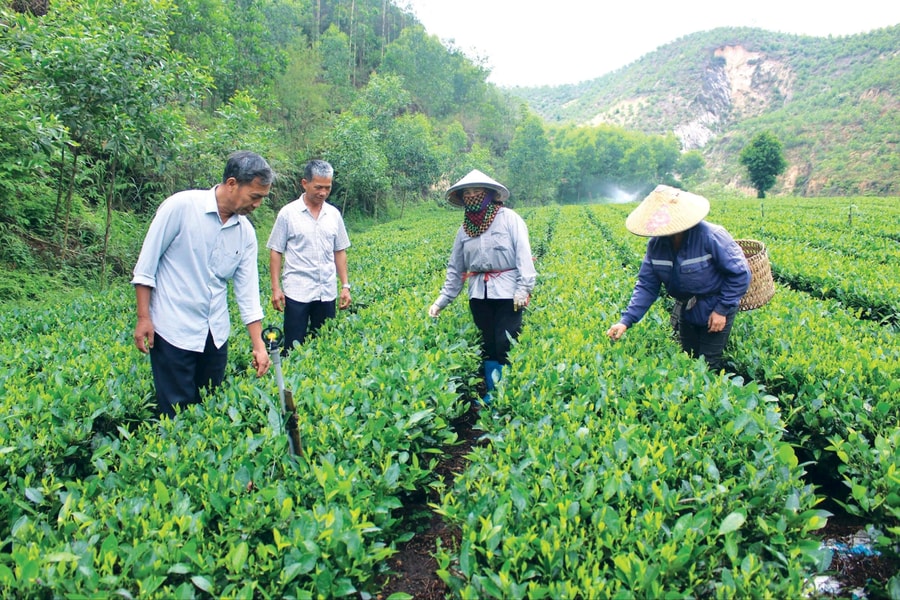 Thái Nguyên: Đồng Hỷ nỗ lực đạt chuẩn nông thôn mới