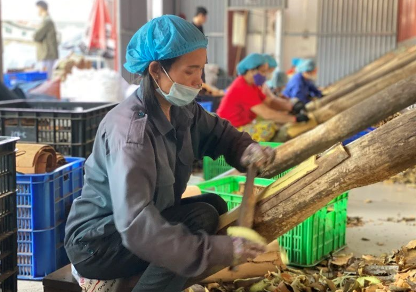 Kiên định mục tiêu giảm nghèo đa chiều, bền vững