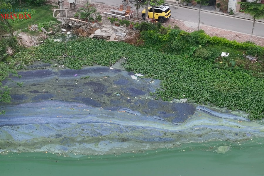 Hà Nội: Lò mổ lợn, các hộ chế biến thực phẩm "bức tử" ao hồ công cộng, gây ô nhiễm nặng nề