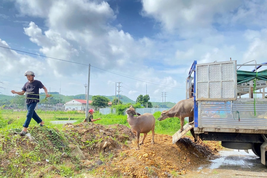 Nâng cao trình độ sản xuất cho người dân