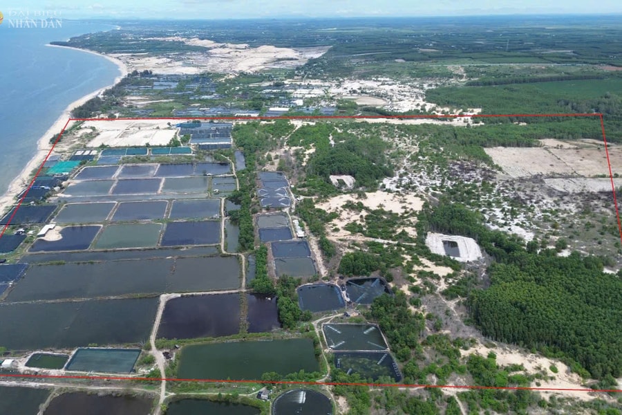 "Lùm xùm" tại KCN Sơn Mỹ I Bình Thuận: Những điểm mấu chốt cần làm sáng tỏ!