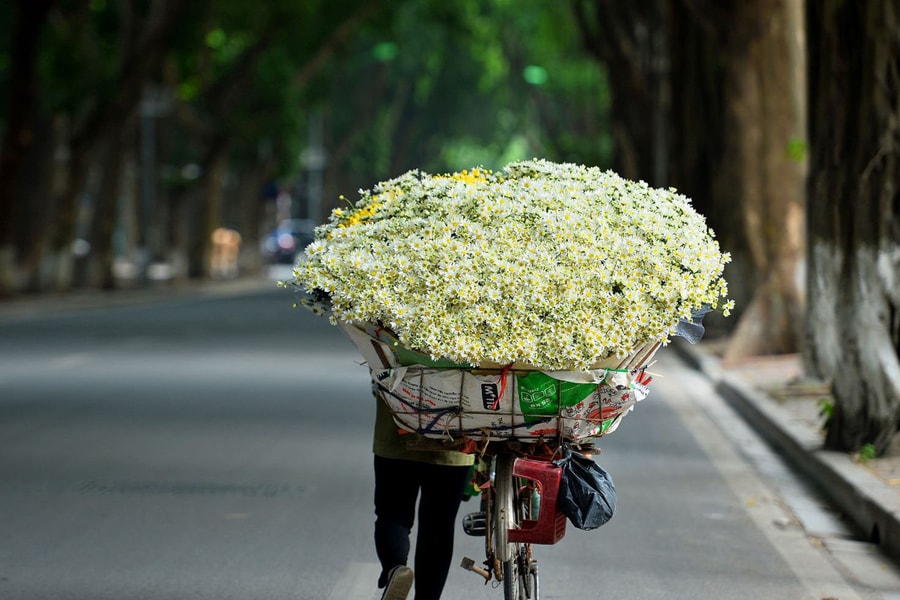 Dự báo thời tiết ngày 28/5: Mưa dông trên cả nước, Bắc Bộ trời nhiều mây