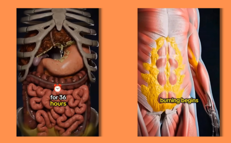 Nhịn ăn 36 giờ: Thử thách cực đoan hay liệu pháp thanh lọc kỳ diệu?