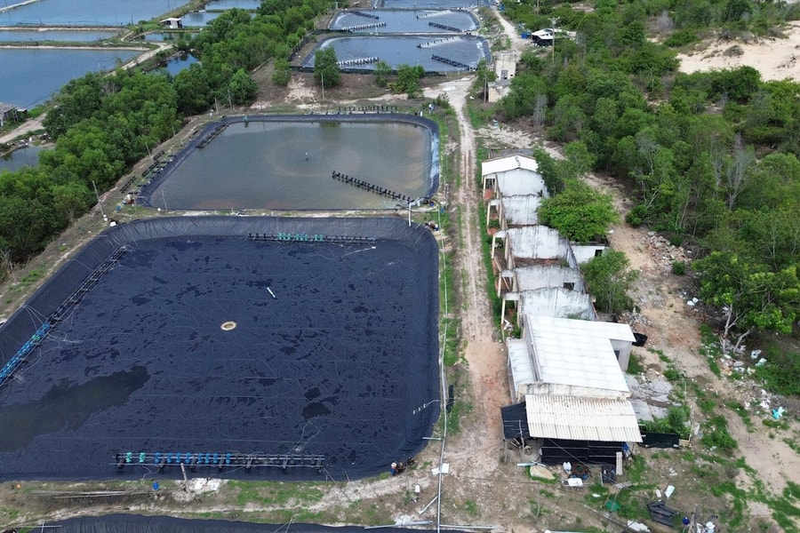 "Lùm xùm" tại KCN Sơn Mỹ I Bình Thuận: Cần phân định rõ nguồn gốc đất, kiểm kê thực địa