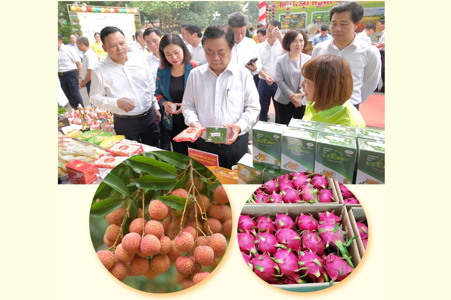 “Cái rổ” nhiều món và bài học chọn “món chủ lực”