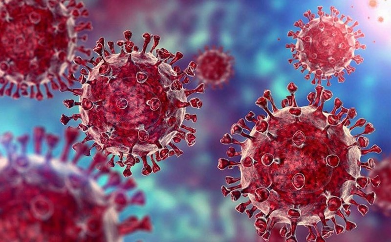 TP. Hồ Chí Minh: Số ca COVID-19 tăng nhanh, 2 người tử vong