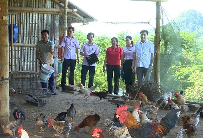 Cách làm hay của Bá Thước