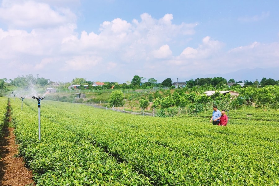 Sức sống mới từ một nghị quyết