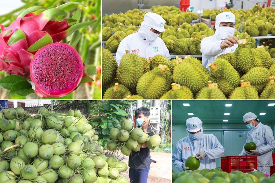 Thủ tướng chỉ đạo khắc phục tình trạng nông sản "được mùa mất giá"