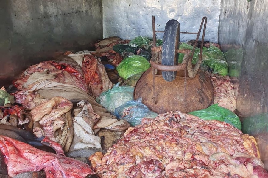 Hà Tĩnh: Phát hiện tài xế vận chuyển 1.1 tấn nội tạng động vật không có giấy tờ