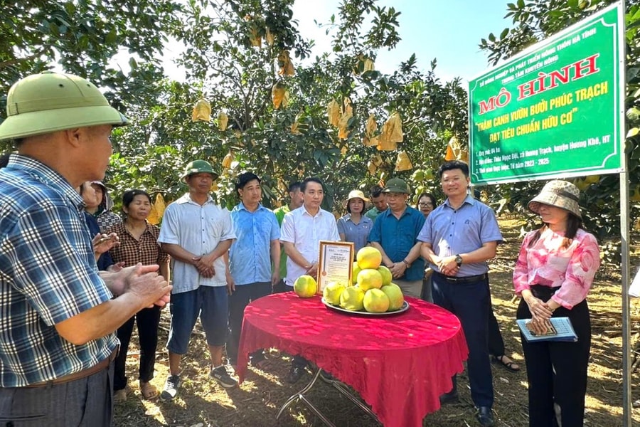 Kiện toàn tổ khuyến nông cộng đồng, nhân rộng các mô hình chăn nuôi hiệu quả