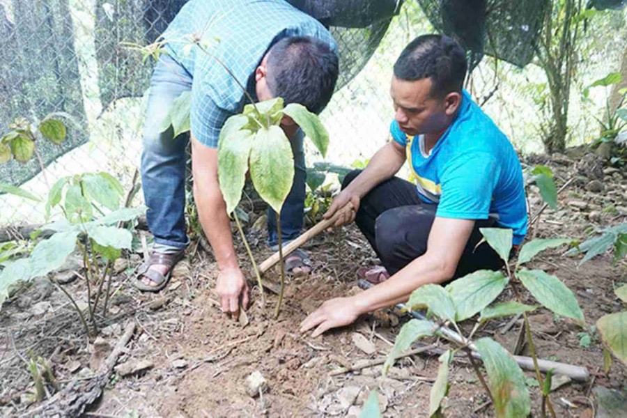 Quảng Ngãi: Đề nghị cung cấp hồ sơ hai nhiệm vụ khoa học và công nghệ "không đạt" nhưng tiêu tốn tiền tỷ