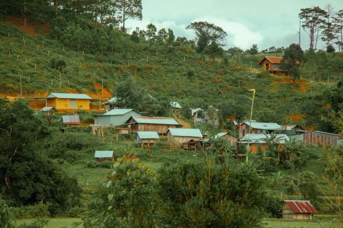 Phê duyệt chủ trương xây dựng mô hình bảo tàng sinh thái