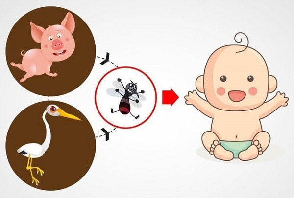 Ngành Y tế khuyến cáo phòng viêm não Nhật Bản: Tiêm đủ vaccine, tránh muỗi đốt