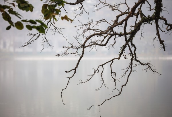 Dự báo thời tiết ngày 12/6: Ảnh hưởng bão số 1, nhiều khu vực có mưa