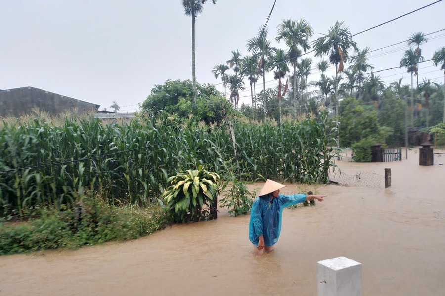 Quảng Nam, Đà Nẵng ngập sâu do mưa lớn: Nhiều thủy điện xả lũ điều tiết
