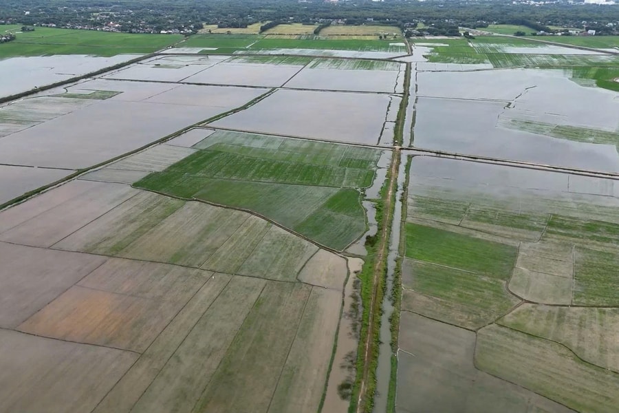 Quảng Trị: Bờ kè, ô tô bị cuốn trôi, sơ tán khẩn cấp người dân