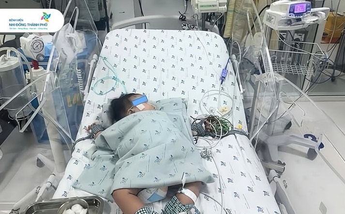 Ho sốt trong 3 ngày, bé gái 4 tháng tuổi sốc sốt xuất huyết