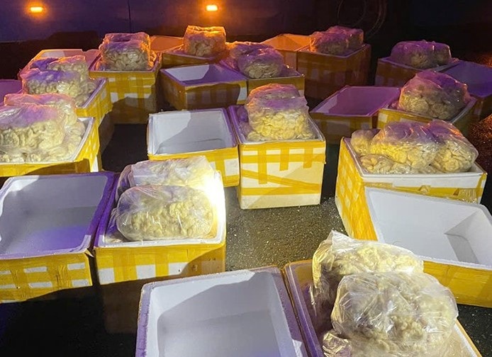 Hà Tĩnh: Thu giữ 240kg chả mực không rõ nguồn gốc