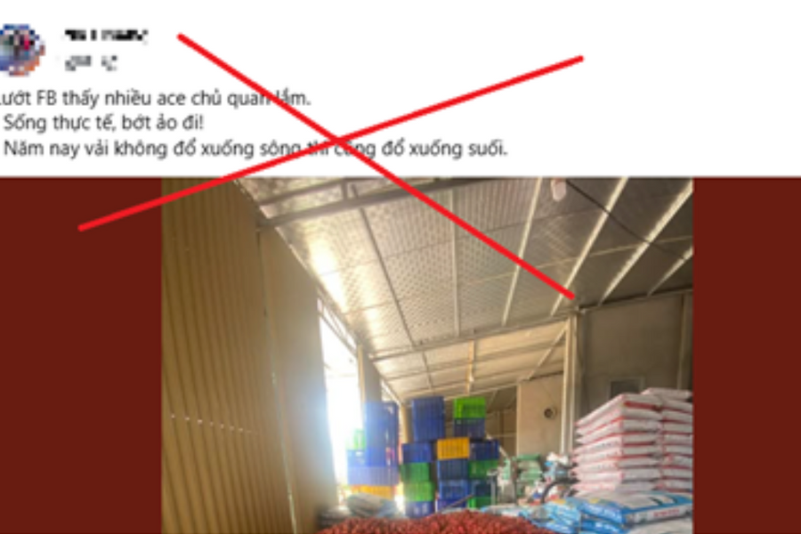 Công an tỉnh Bắc Giang xử lý 2 trường hợp đăng tải thông tin sai sự thật về vải thiều