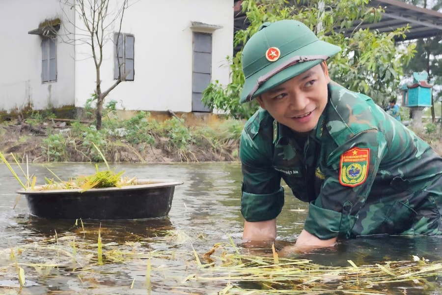 Quảng Trị: Bộ đội Biên phòng và Hải đội 202/Bộ Tư lệnh Vùng Cảnh sát biển 2 thu hoạch lúa giúp dân vùng lúa