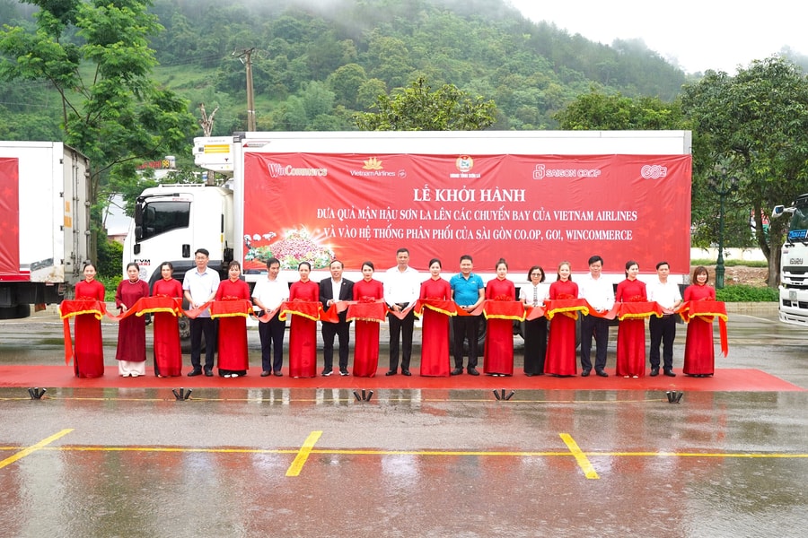 Vietnam Airlines đưa mận hậu Sơn La lên thực đơn trên không