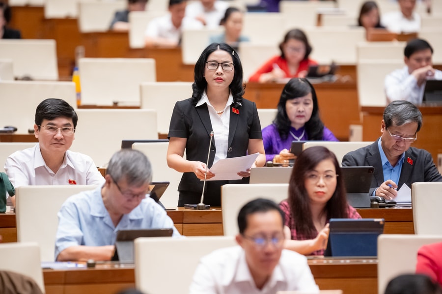 ĐBQH Nguyễn Thị Lan (Hà Nội): Tạo dựng niềm tin cho nông sản Việt Nam trên thị trường quốc tế