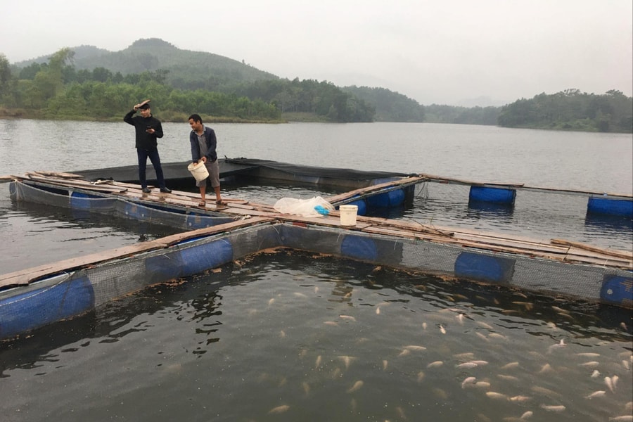 Thành phố Sông Công có 19 xóm đạt chuẩn nông thôn mới kiểu mẫu