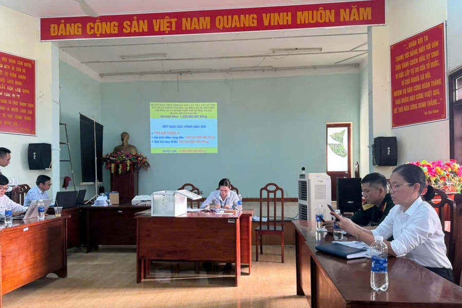 Quảng Nam: Đấu giá quyền khai thác 3 mỏ cát đạt mức trúng đấu giá cao bất ngờ