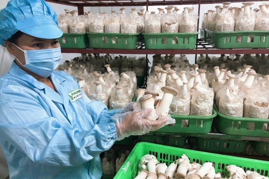 Vùng "địa lợi" Đại Từ xây dựng nông thôn mới nâng cao