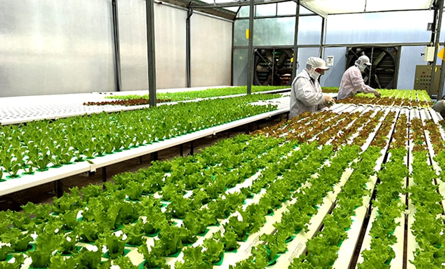 Bổ sung chính sách tín dụng khuyến khích nông nghiệp hữu cơ, tuần hoàn