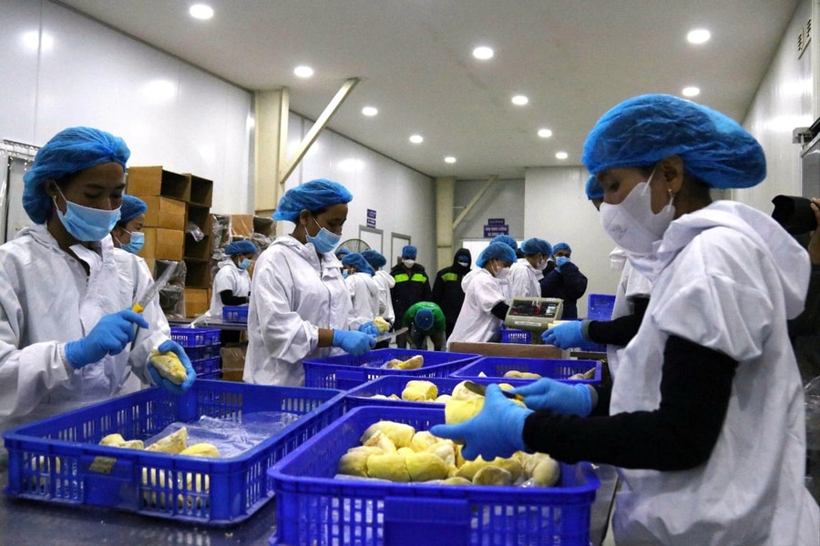 Đắk Lắk: Quản lý chặt việc sử dụng chất phụ gia, chất hỗ trợ chế biến nông sản