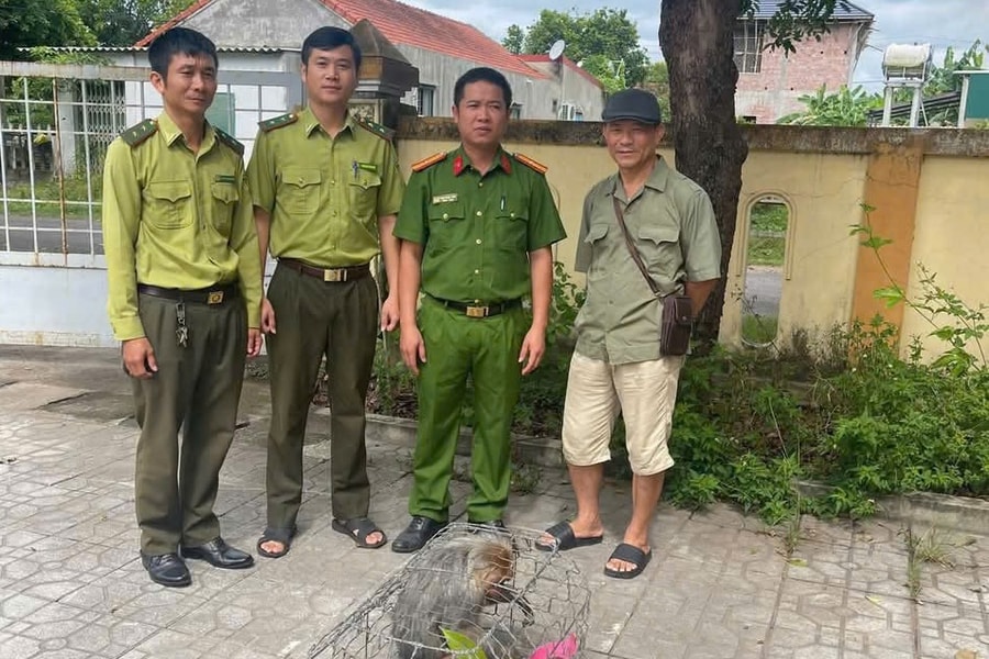 Quảng Trị: Tiếp nhận cá thể khỉ mặt đỏ, động vật rừng nguy cấp, quý hiếm