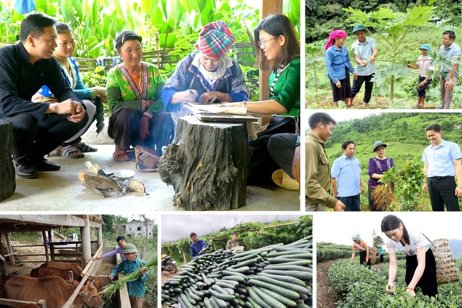 Kết quả giảm nghèo bền vững đạt, vượt nhiều mục tiêu