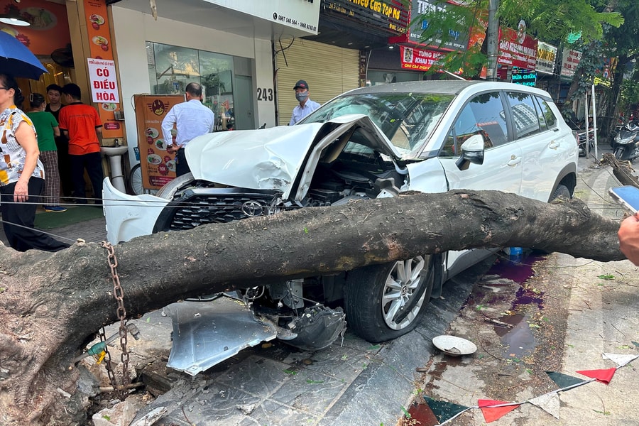 Video ghi lại vụ ô tô đâm thẳng vào gốc cây, nữ tài xế bất tỉnh tại phố Trần Đại Nghĩa