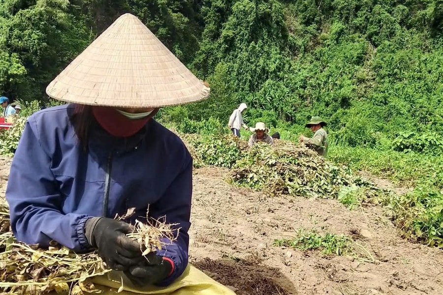 Hưởng lợi lâu dài từ bảo vệ thiên nhiên