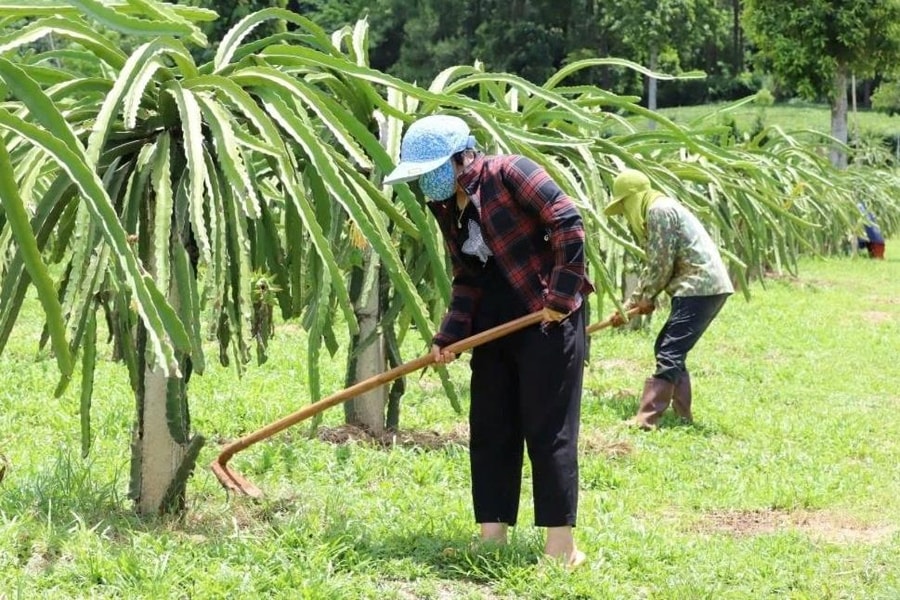 Nhiều bước tiến quan trọng