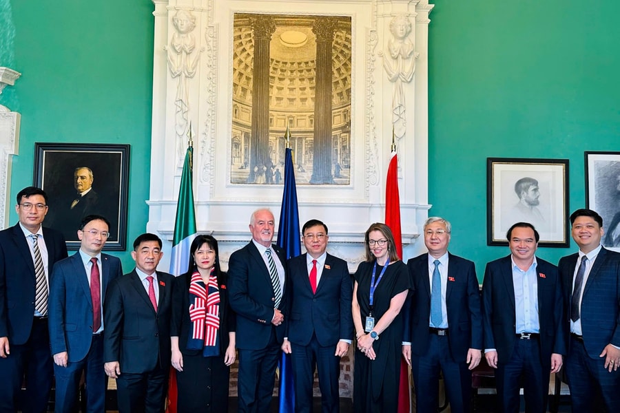 Đoàn đại biểu Ủy ban Công tác đại biểu thăm, làm việc tại Ireland