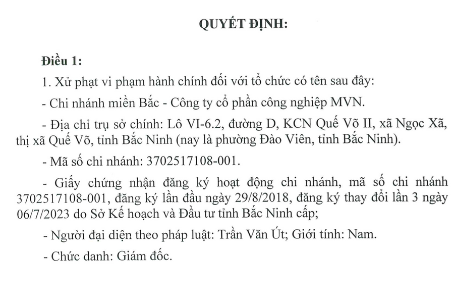 Bắc Ninh: Chi nhánh miền Bắc - Công ty CP công nghiệp MVN vi phạm pháp luật về môi trường