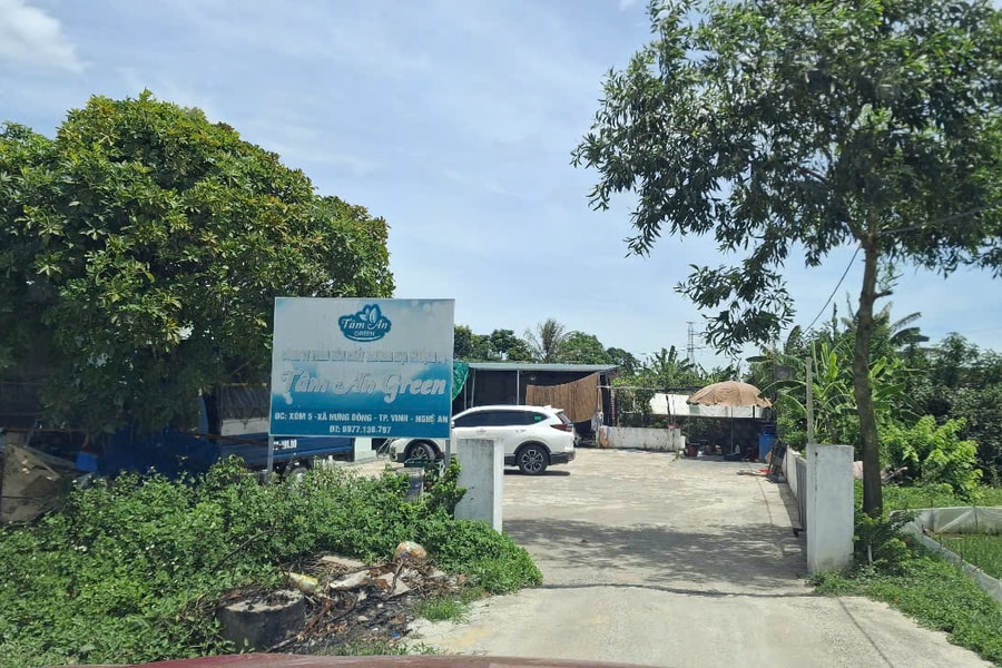 Nghệ An: Đề nghị làm rõ thông tin biến đất nông nghiệp thành lò giết mổ gia súc