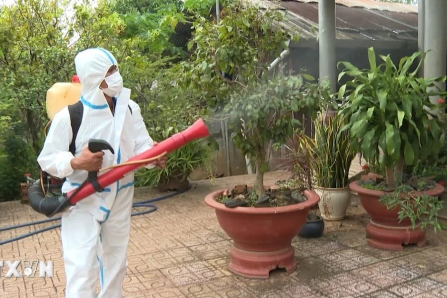 Thủ tướng Chính phủ yêu cầu tăng cường phòng, chống bệnh sốt xuất huyết